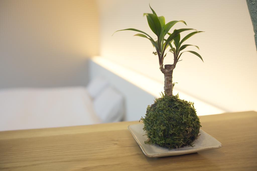Ryokan Mokuzin هاكوبا الغرفة الصورة